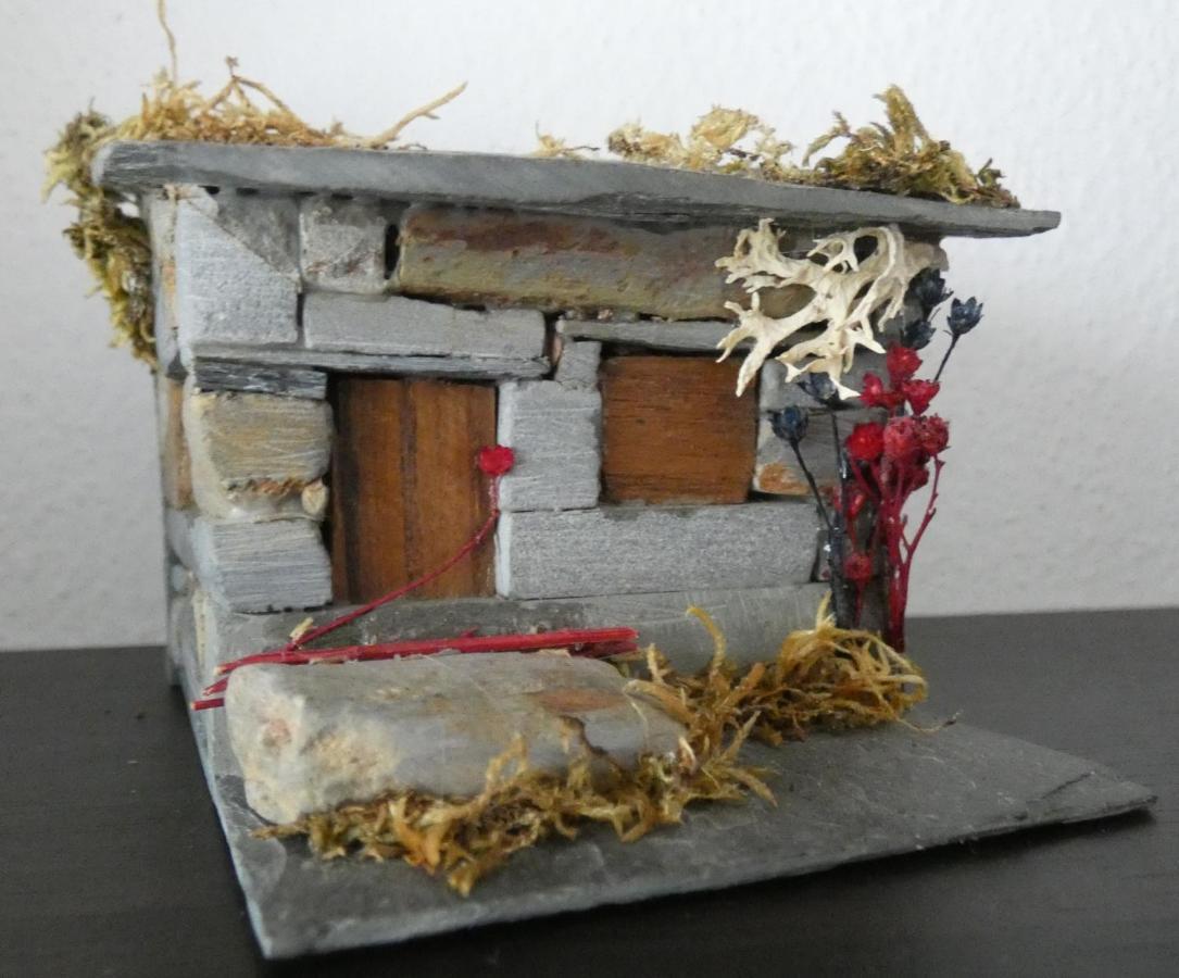 Casa Sandra - Apartamento Carlota 洛萨 外观 照片